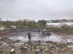 广陵河道鱼塘清淤